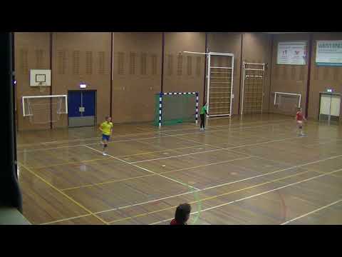 20180222 - Legmeervogels DS1 - KDO DB1 - deel 1