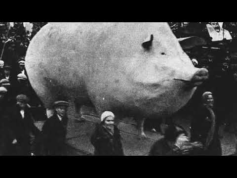 Tim Dillon - Pizza Hut Buffet