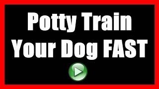 How To Potty Train A Dog To NOT Poop Indoors | House Train A Dog To Go Outside