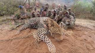 Лов за леопарди