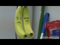 Annoying Orange Annoying Orange Wazzup