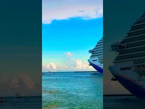Thumbnail for Carnival Magic 🛳️ #like #share #comment #subscribe #shorts #youtubeshorts #shortvideo #short #viral