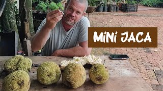 Miniatura do vídeo
