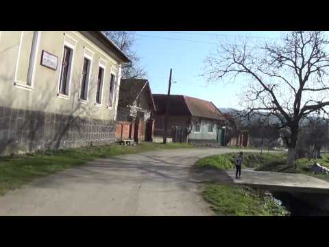 Coșteiu De Sus, Timiș, România