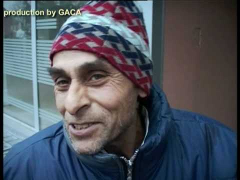 SMESNO NAJJACA PRODAJA BADNJAKA 2012