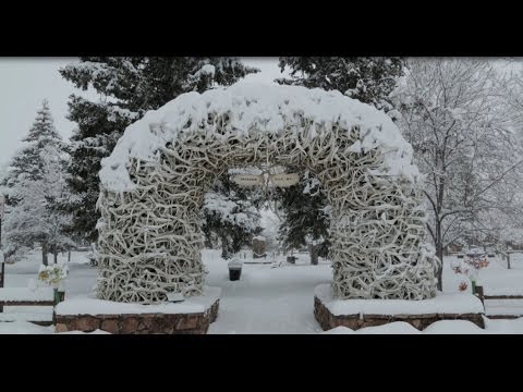 Video di Jackson Hole
