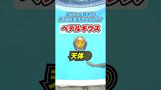 🛟流れるプールでお題聞かずに答えろ！！