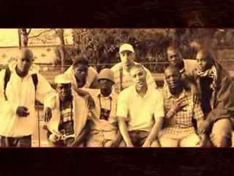 Kromozom "Soif 2 briller"