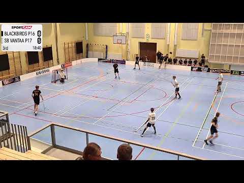 BLACKBIRDS P16 vs SB VANTAA P17 - 18/08/2023