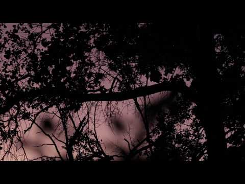 Hammock - Flannery (Andalusia Reinterpretation) - YouTube