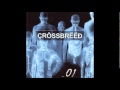 Crossbreed - Lost Soul 