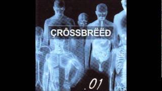Crossbreed - Lost Soul