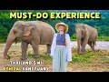 This Was INCREDIBLE Thailand S BEST Elephant Sanctuary Experience