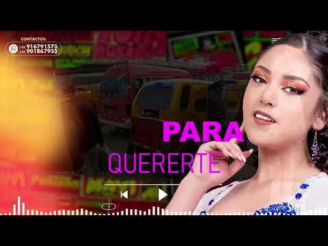 Tributo a la Chicha 2 - Agrupación Luz Marina | VIDEO OFICIAL