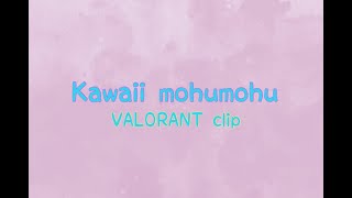 Kawaii mohumohu 【VALORANT clip #1】
