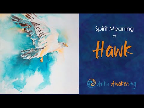 Hawk Totem - Spirit Meaning of Hawk (Hawk Power Animal)