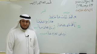 صورة شرح شواهد قطر الندى ( ٣ )