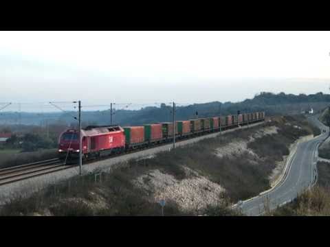 Comboio Especial n.º 91205/4 - Paialvo