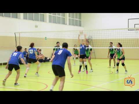 Sintesi Fides - Certosa S. D.