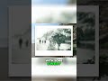 Amazing Bokeh On Instax Film Mint Instantkon RF70