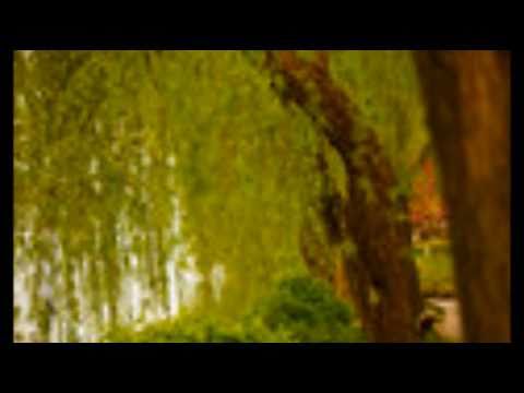 SUMMER LOVE- Felicia Sanders