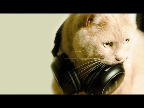 Ke$ha - Crazy Kids ft. will.i.am ( Ruben Gouveia Remix )