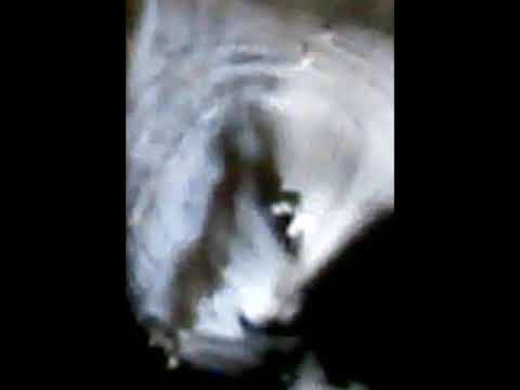 D27M - everytime & everywhere (acoustic version)