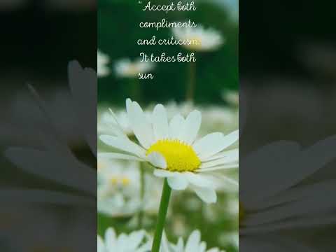 Learn English positively. #ingles #learnenglish #english #anglais #positivevibes #positivethinking