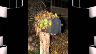 Billy Eckstine   Cottage For Sale