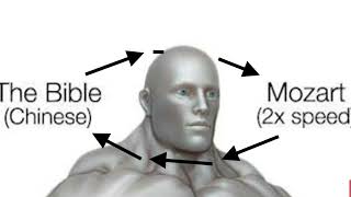 Cover art for Right ear the bible (chinese), Left ear Mozart (2x speed)