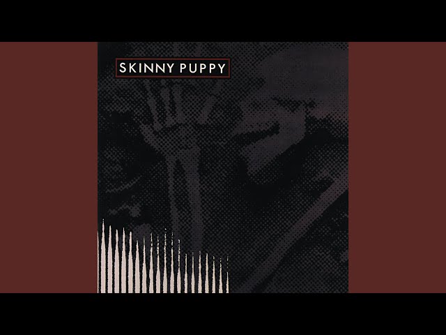 The Rise and Criticisms of Skinny Puppy