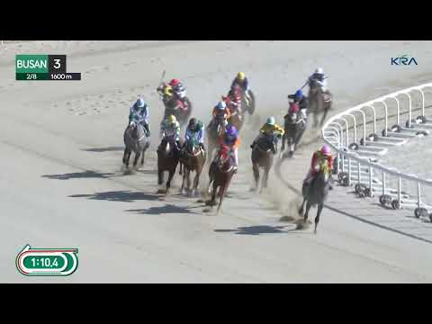 (Busan) 2026.02.08 R3 Class 5 (1600M) Handicap