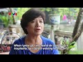 Kem Thuy Ta Và Kem Trang Tien