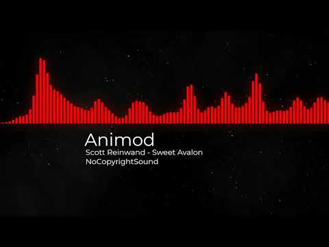 Amphibious Zoo Music - Sweet Avalon [AM Release]