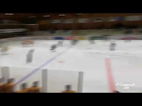EHC Wiki-Münsingen vs. EHC Olten