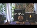 45 Minute Hatha Yoga Class for Core and Upper Body strength, by Stephen of FreeYoga.TV 45 Minute Hatha Yoga Class for Core and Upper Body strength, by Stephen of FreeYoga.TV
