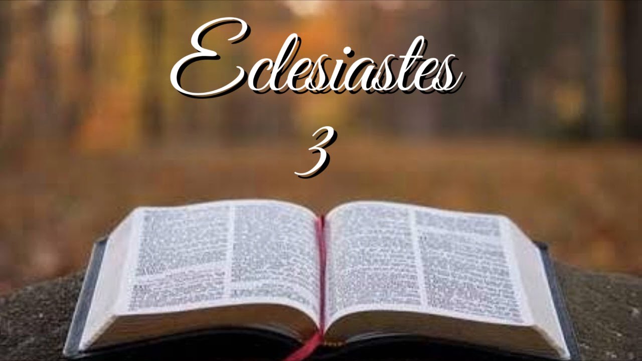 BÍBLIA - ECLESIASTES 03 NAA | TUDO TEM SEU TEMPO