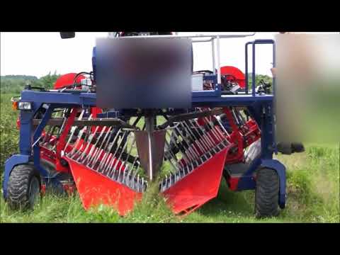 Ягодо-уборочный комбайн Jagoda Oskar