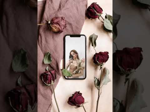Oops!… I did it again cover – Dear Leo