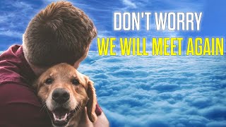 Man Cried by What He Saw His Pets Doing in Heaven | Near Death Experience