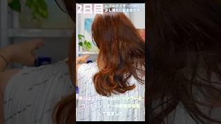 ④2日目7DPlusと27DPlus2ヶ月使い比べてみて気になったことがあったので4日間比べてみたよ❣️ #バイオプログラミング  〜シャンプーandコンディショナー編〜　#ヘアビューロン