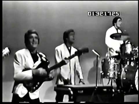 SHINDIG! #19 The Dave Clark Five 5!  RARE!  Songs Only!  RARE!