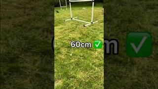 Hobby horse chase me Charlie! Does anyone have any tips for jumping higher? 💗 #hobbyhorse #jumping