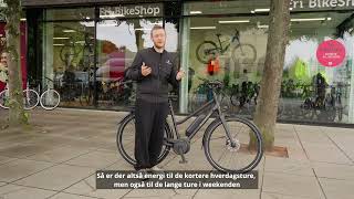 Batavus Sort Razer LTD