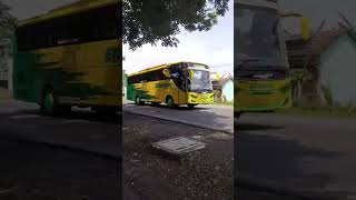 Download lagu SINGLE GLASS REBORN!!BUS EFISIENSI  BOBOTSARI-JOGJA#bismania#subscribe#viral#feedshorts#shorts mp3