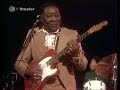 Muddy Waters - The Howling Wolf 