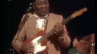 Muddy Waters  - The Howling Wolf