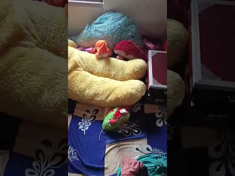 my  teddy bear#sohani #youtubeshorts #viral #ytviral #ytshorts