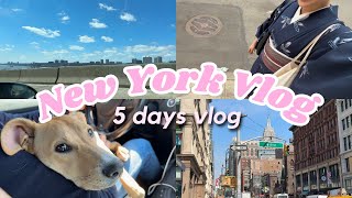 NYC | 愛犬と過ごすのんびり5Day Vlog | カフェ、ドッグラン、ドライブetc