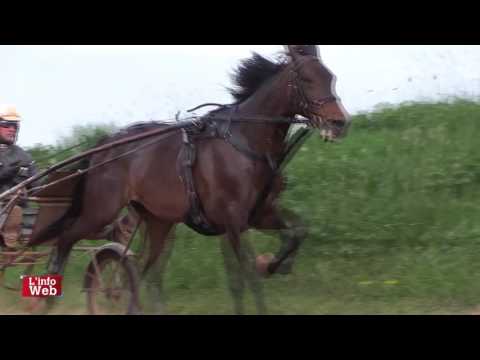 Carnet de Pistes -  Bold Eagle - Sébastien Guarato - 10/04/17